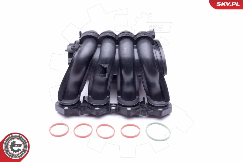 Intake Manifold Module 49SKV046