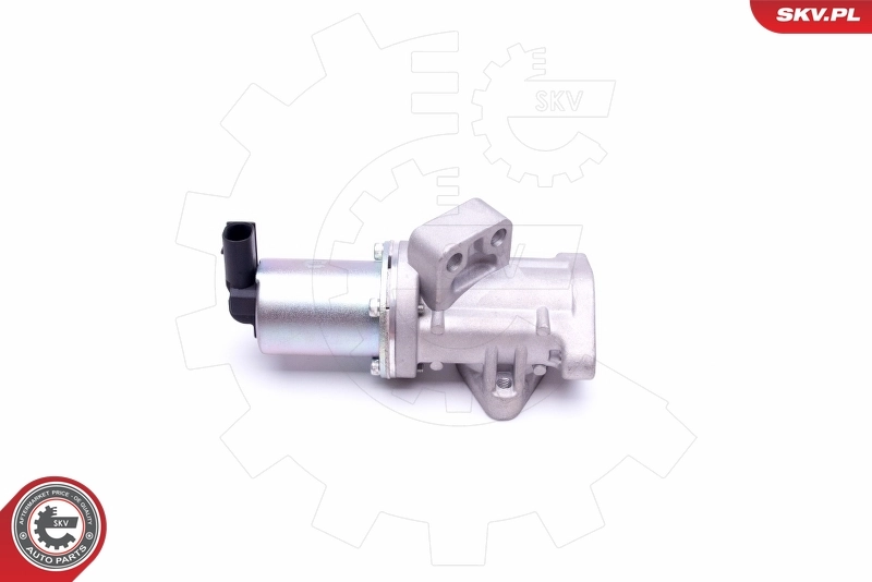 EGR Valve 14SKV212