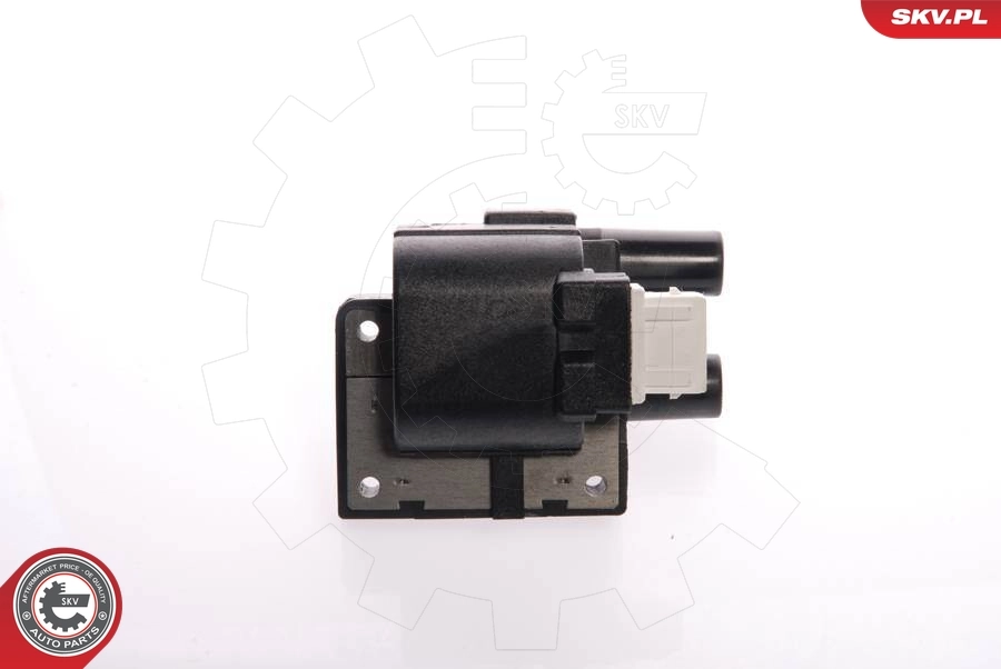 Ignition Coil 03SKV039