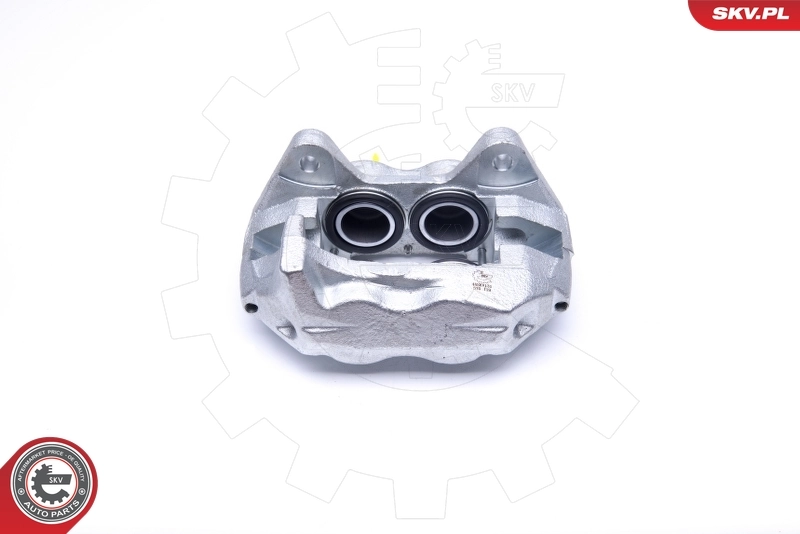 Brake Caliper 45SKV131