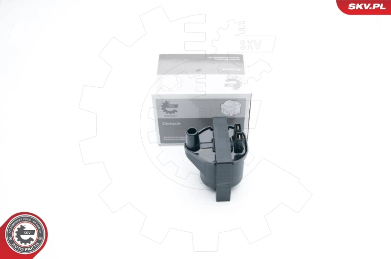 Ignition Coil 03SKV263