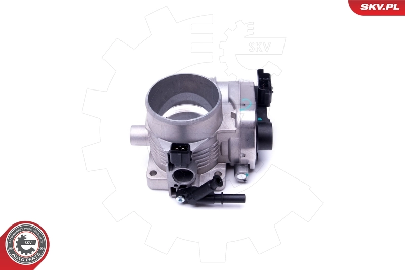 Throttle Body 12SKV079