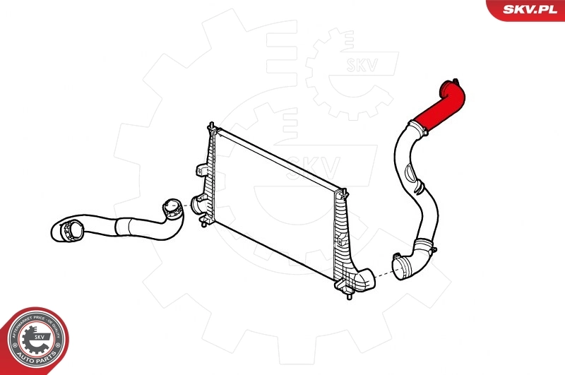 ESEN SKV 24SKV869 Charge Air Hose