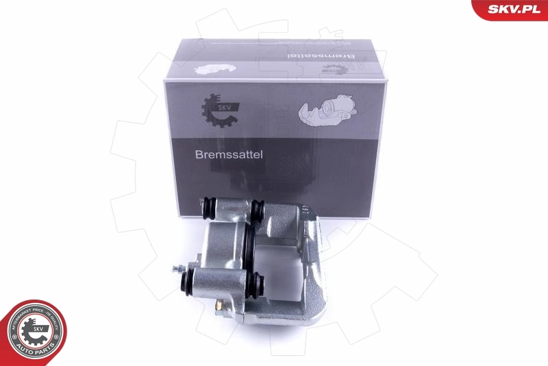 Brake Caliper 55SKV301