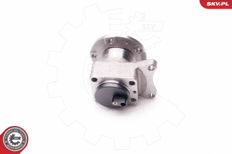 ESEN SKV 29SKV078 Wheel Bearing Kit