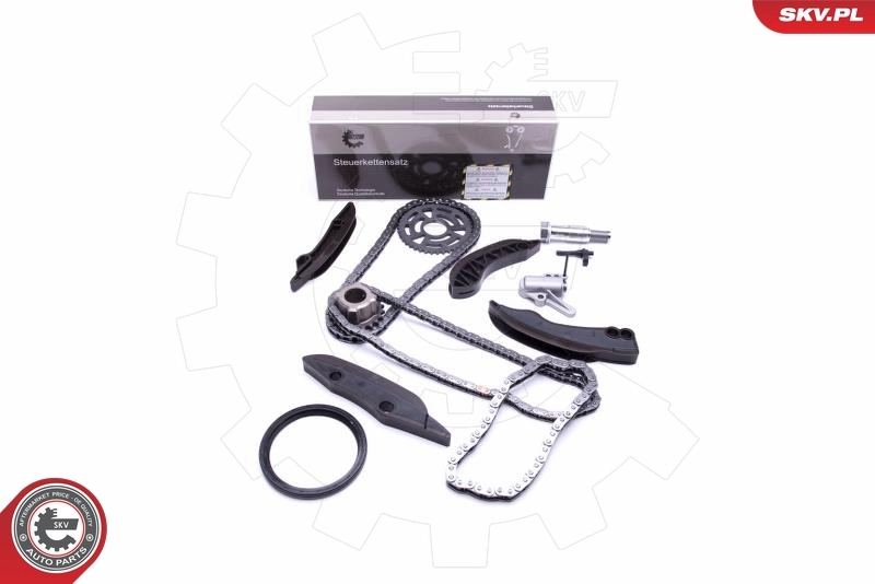 Timing Chain Kit 21SKV122