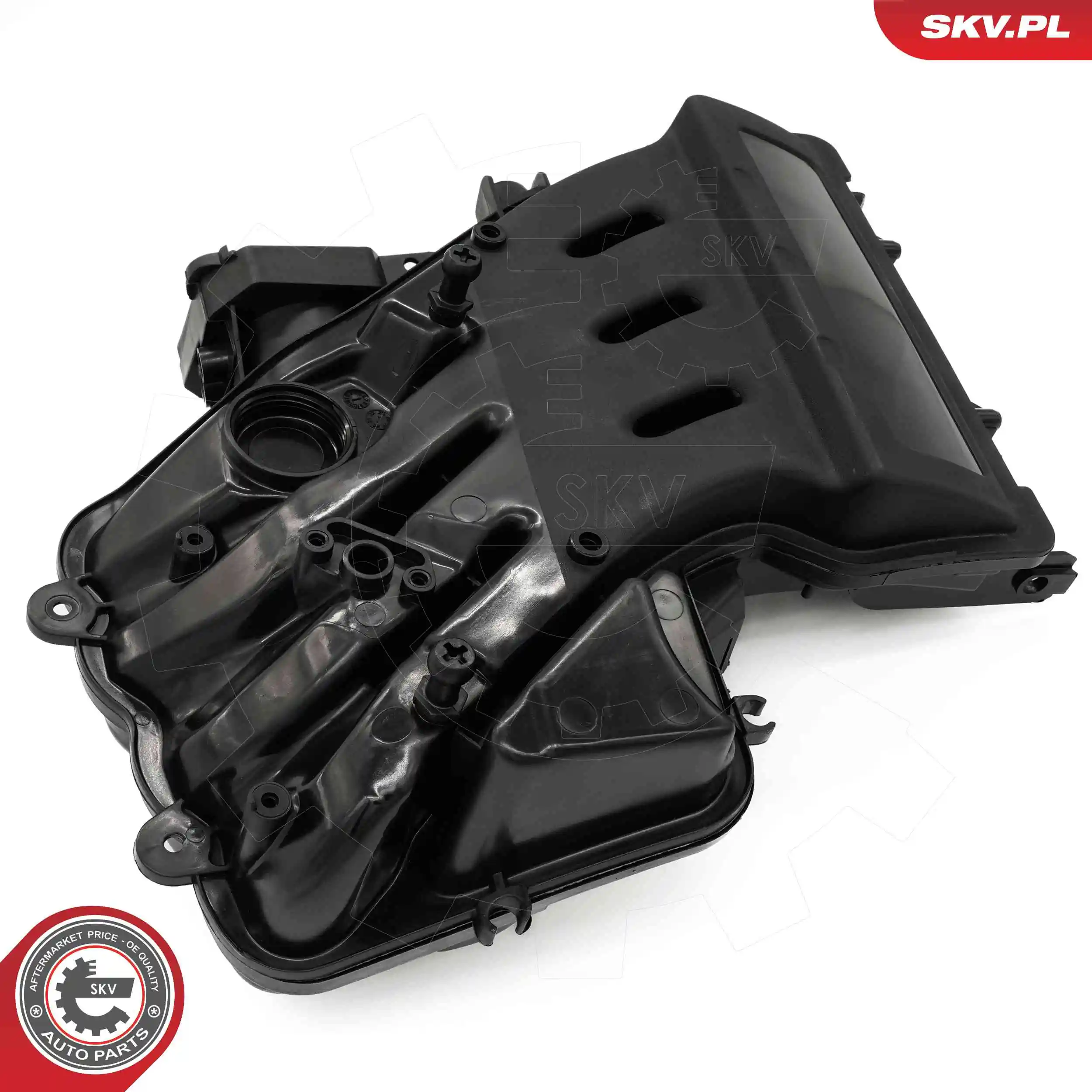 Intake Manifold Module 49SKV088