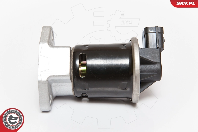 EGR Valve 14SKV070