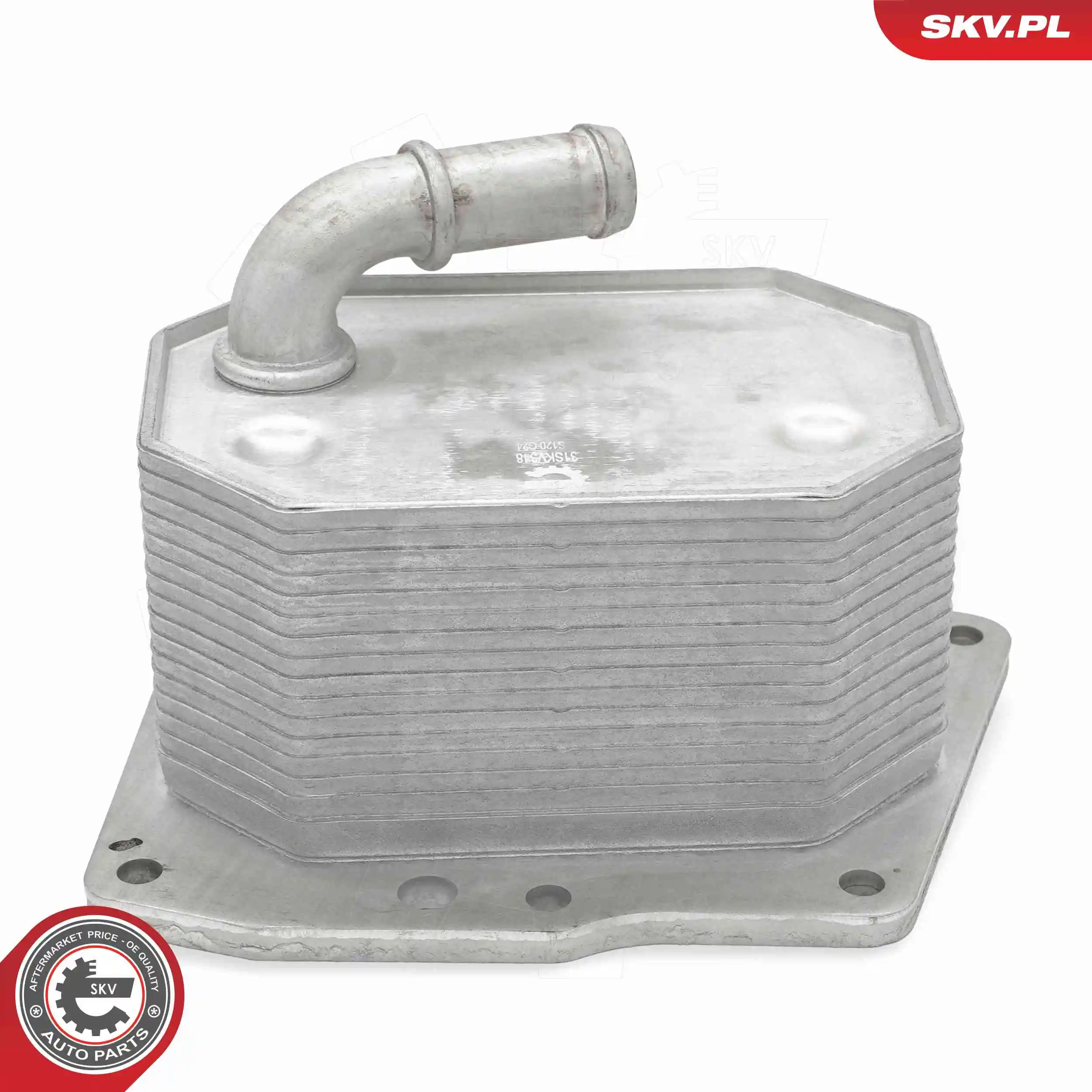 Oil Cooler, engine oil 31SKV348