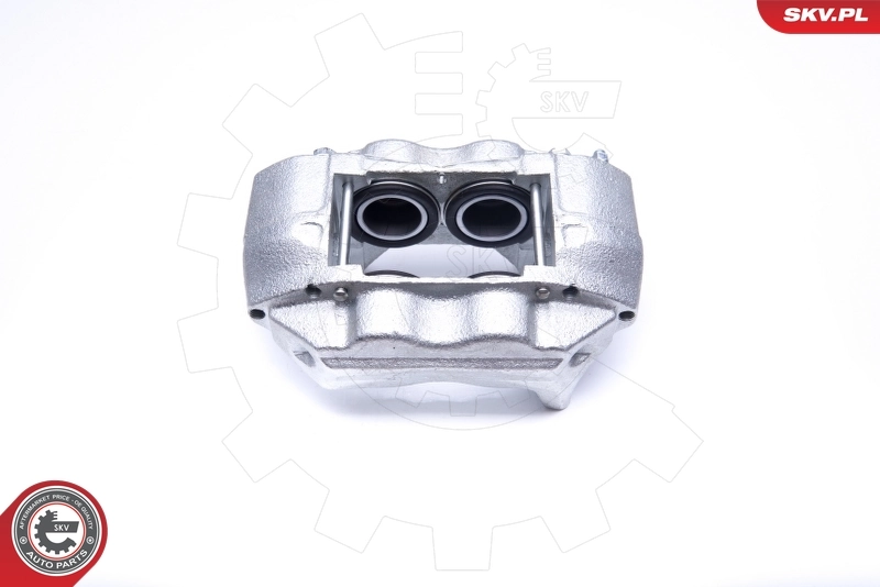 Brake Caliper 45SKV131
