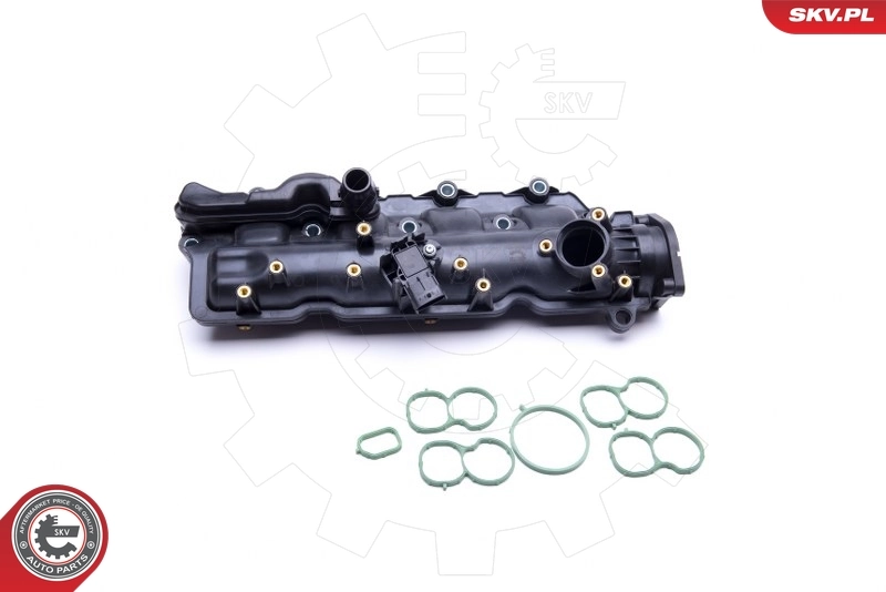 Intake Manifold Module 49SKV024