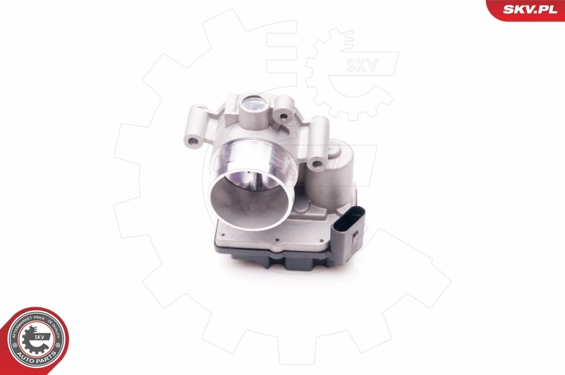 Throttle Body 12SKV064