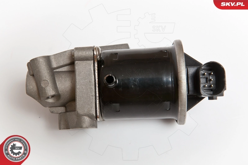 EGR Valve 14SKV074