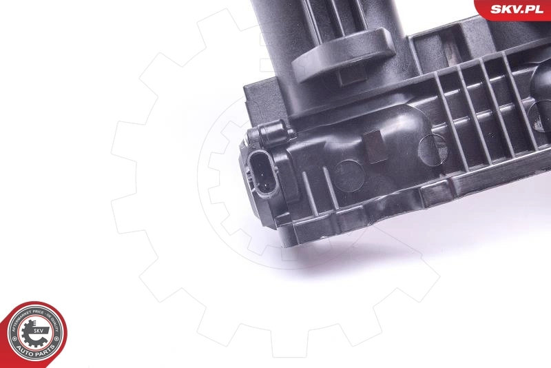 Intake Manifold Module 49SKV060