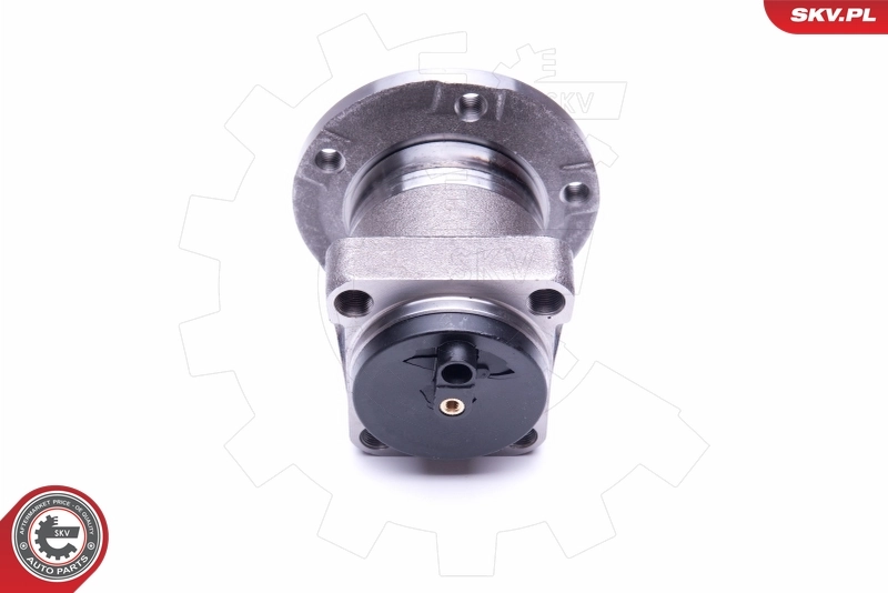 Wheel Bearing Kit 29SKV302