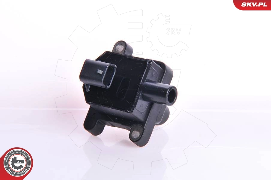 Ignition Coil 03SKV009
