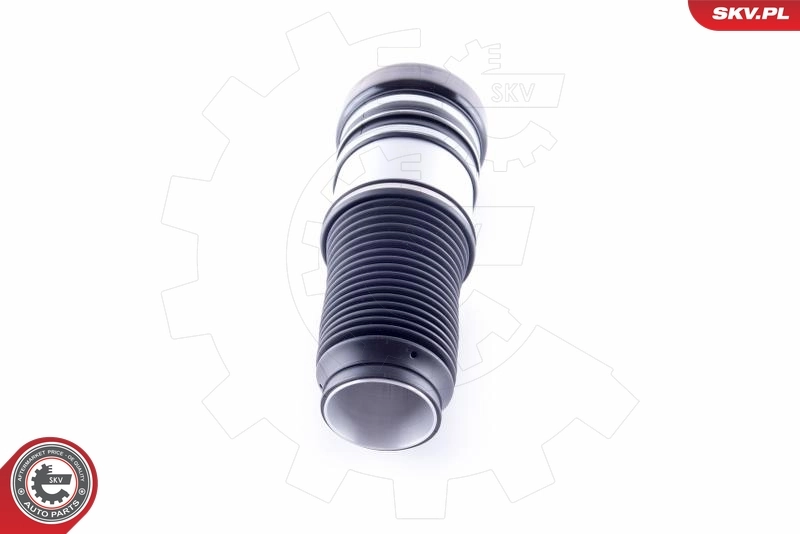 Air Spring, suspension 58SKV044