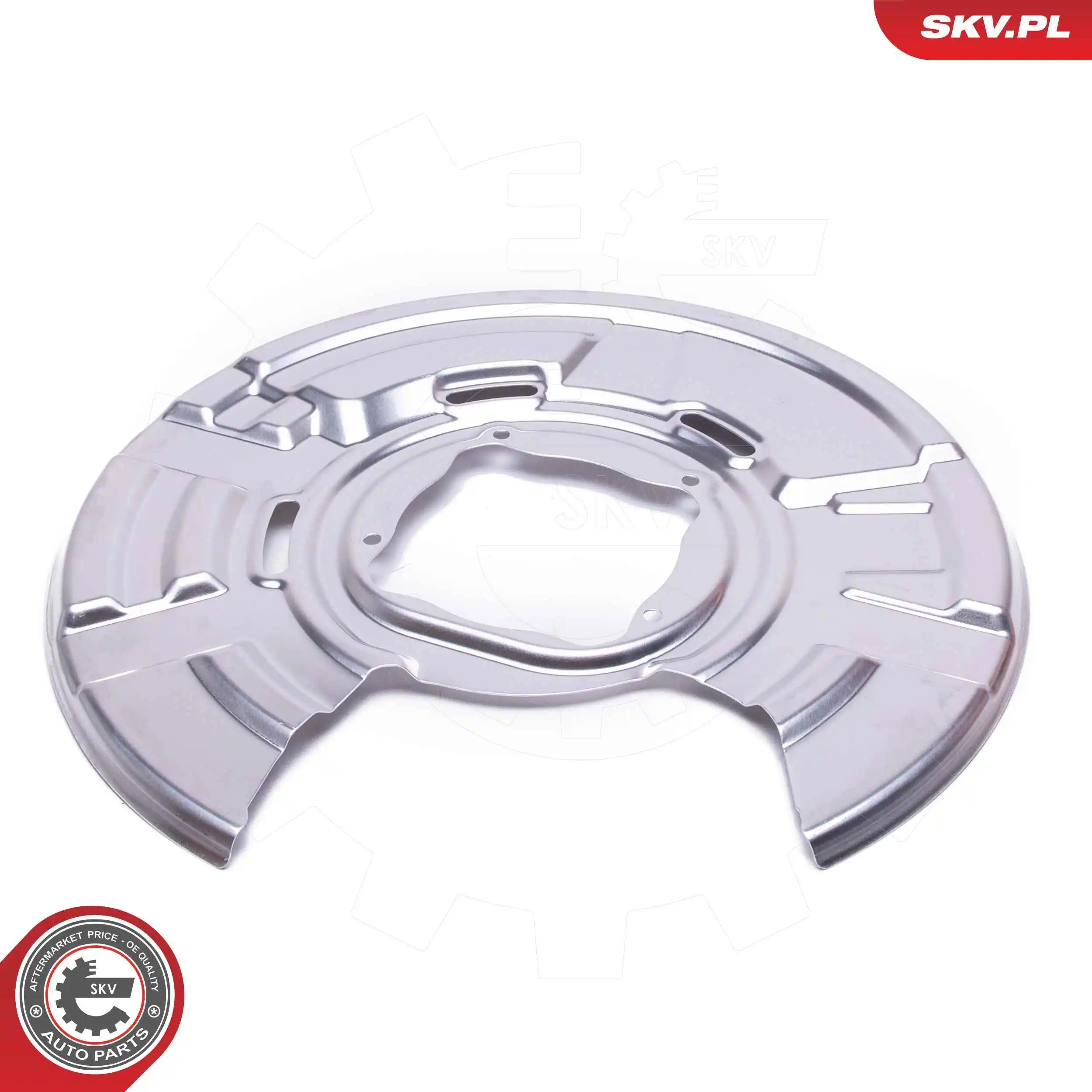 ESEN SKV 57SKV729 Splash Guard, brake disc