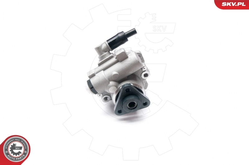 Hydraulic Pump, steering 10SKV224