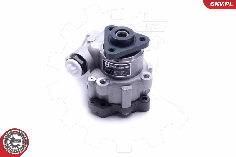 Hydraulic Pump, steering 10SKV305