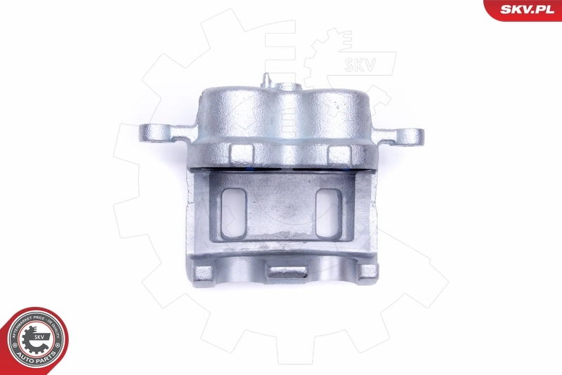 Brake Caliper 50SKV381