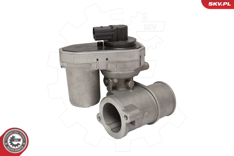 EGR Valve 14SKV084