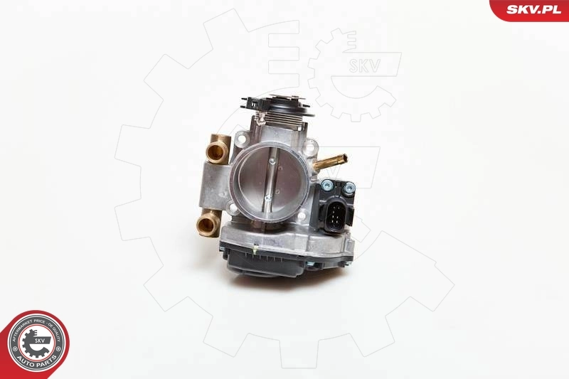 Throttle Body 12SKV004
