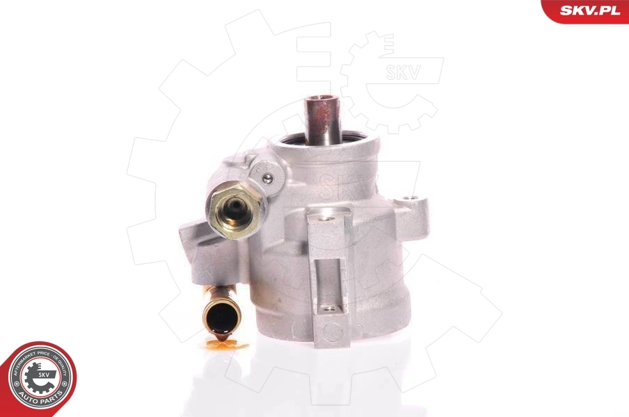 Hydraulic Pump, steering 10SKV126