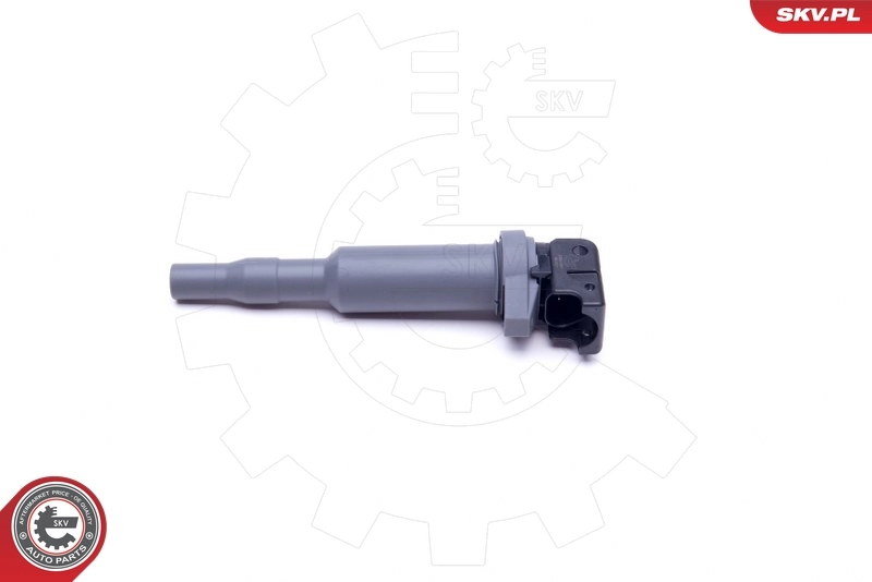 Ignition Coil 03SKV291