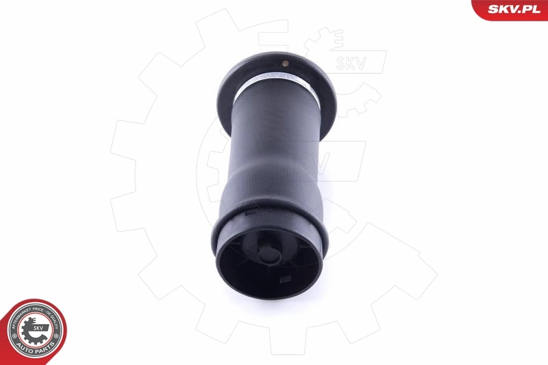 Air Spring, suspension 58SKV039