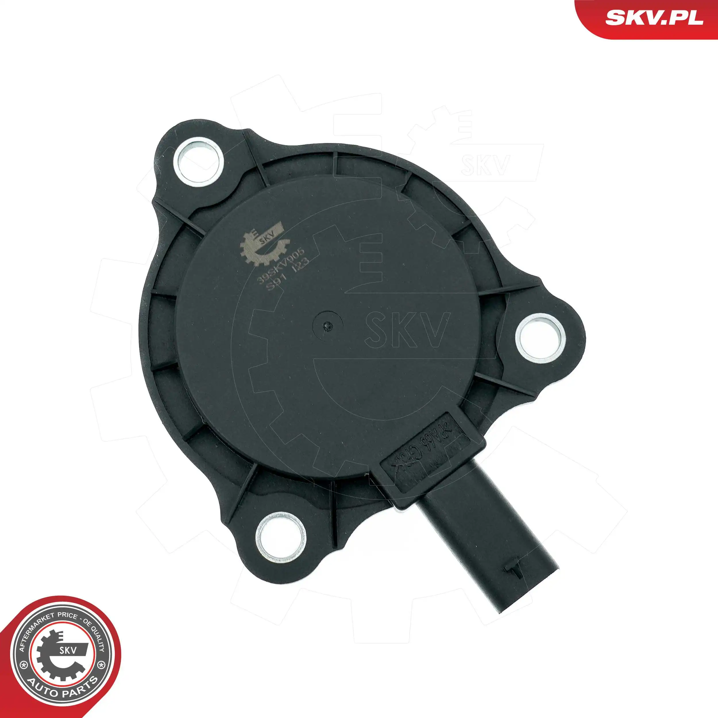 Central Magnet, camshaft adjustment 39SKV905