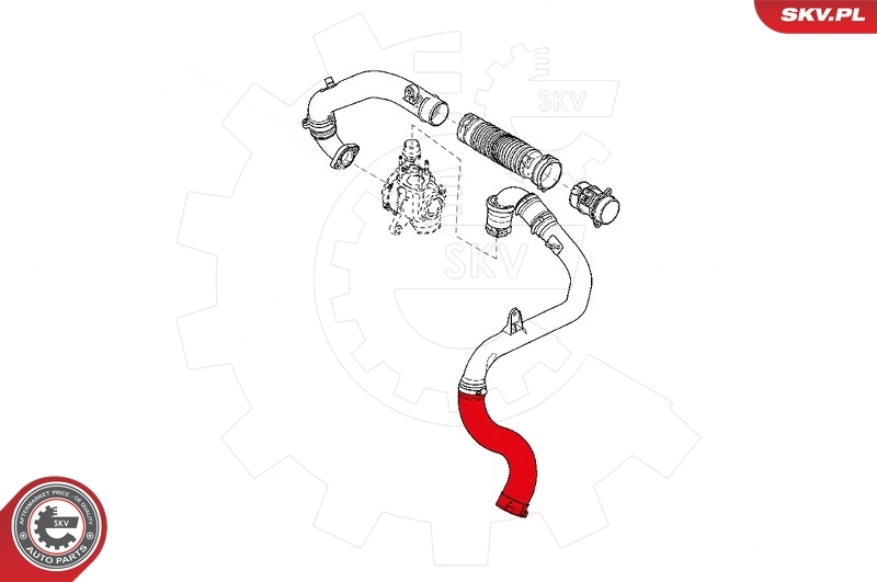 Charge Air Hose 24SKV810