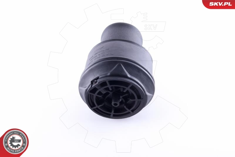 Air Spring, suspension 58SKV022