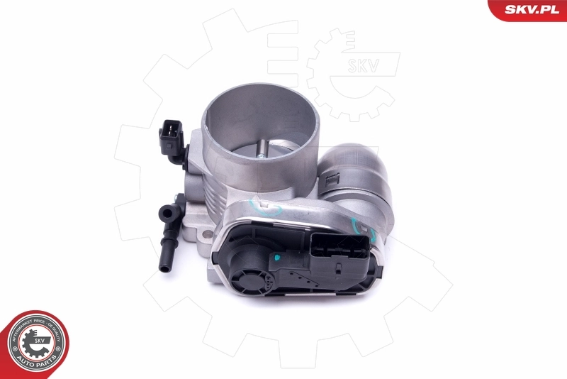 Throttle Body 12SKV079
