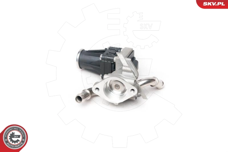 EGR Valve 14SKV101