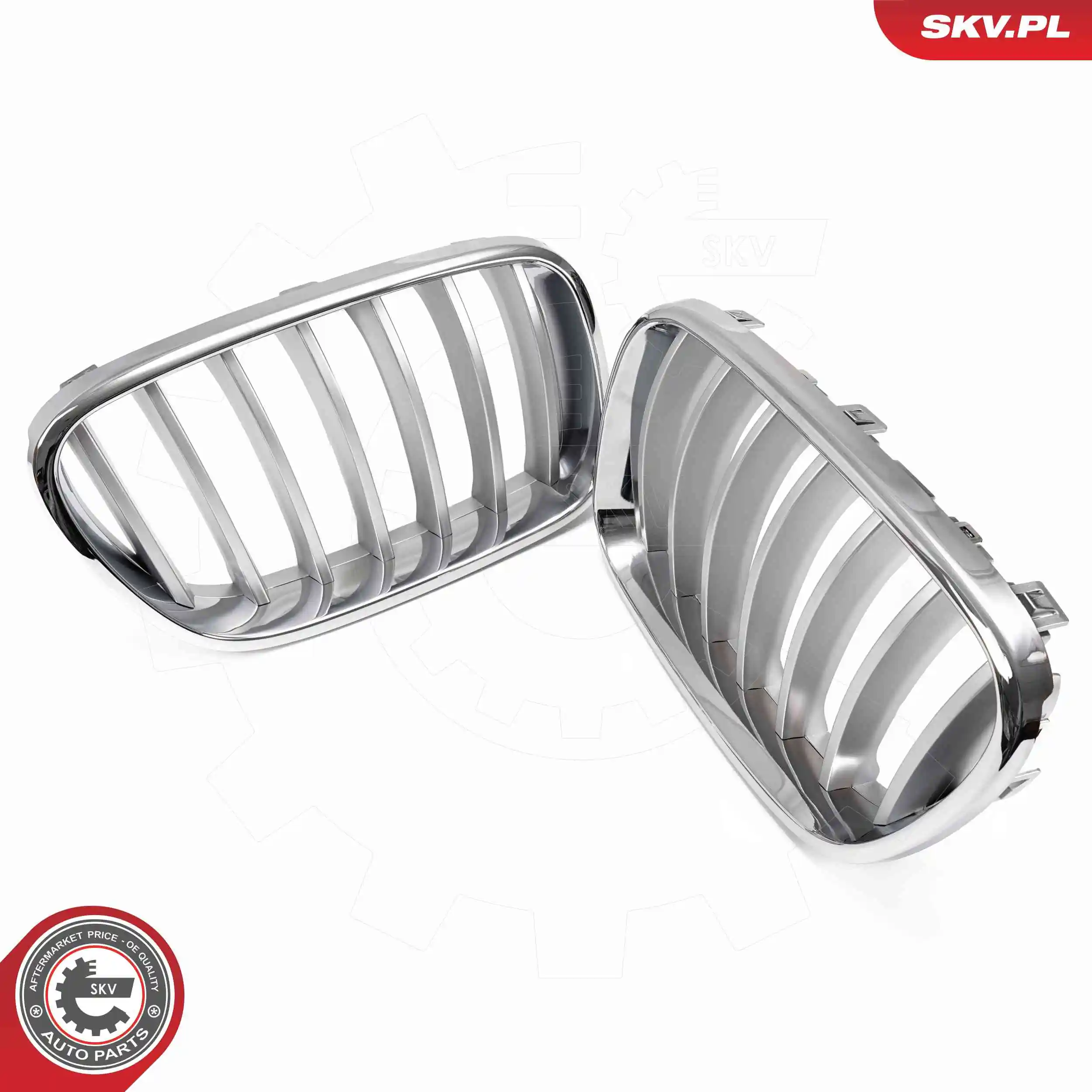 ESEN SKV 66SKV251 Radiator Grille