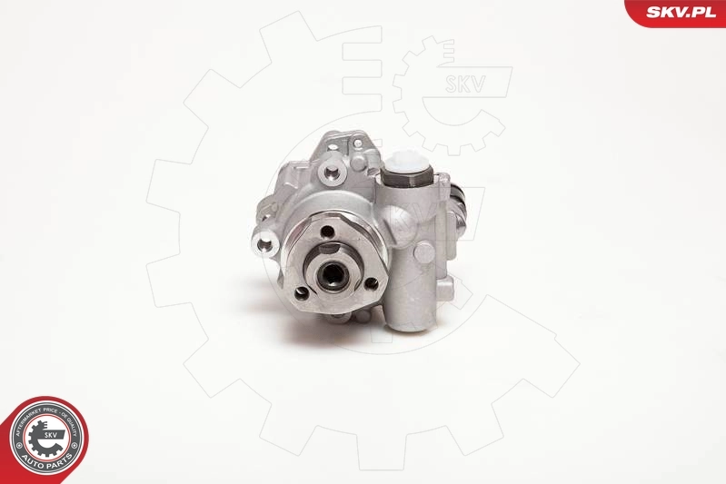 Hydraulic Pump, steering 10SKV110