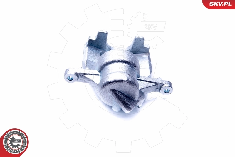 Brake Caliper 44SKV103