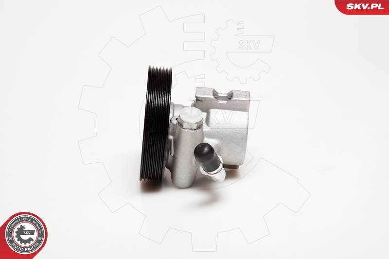 Hydraulic Pump, steering 10SKV031