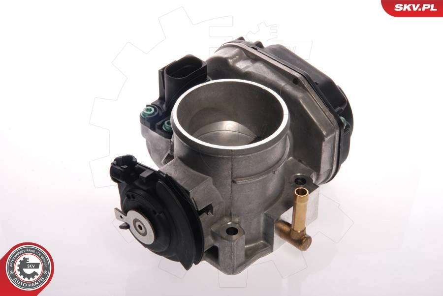 Throttle Body 12SKV022