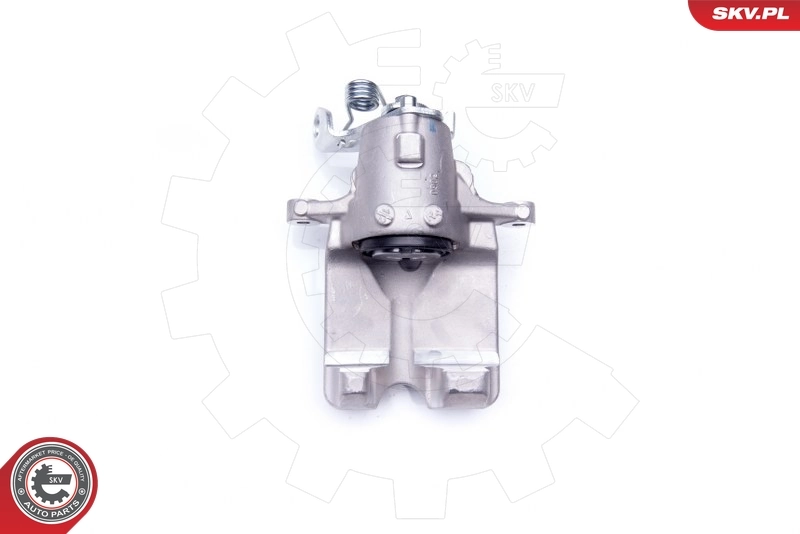 Brake Caliper 42SKV064