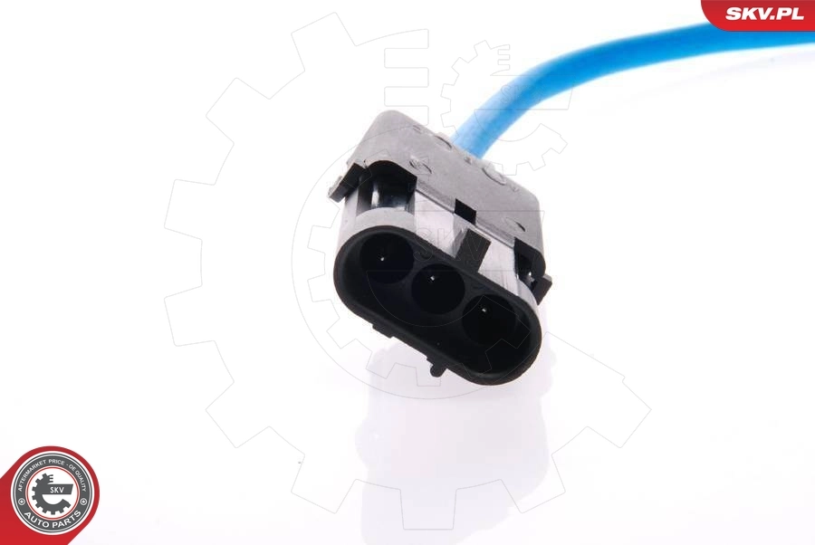 Oxygen Sensor 09SKV018
