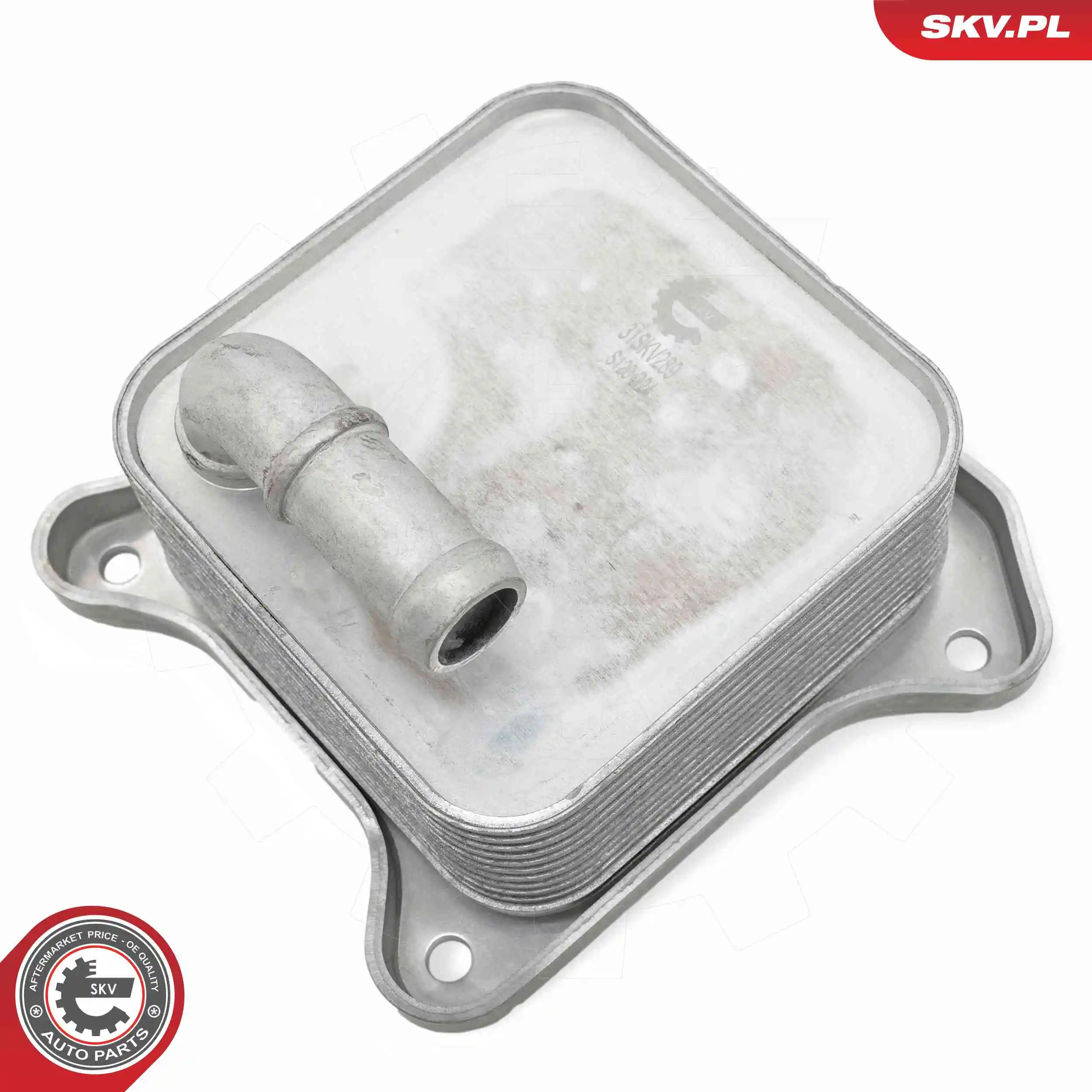 Oil Cooler, engine oil 31SKV289