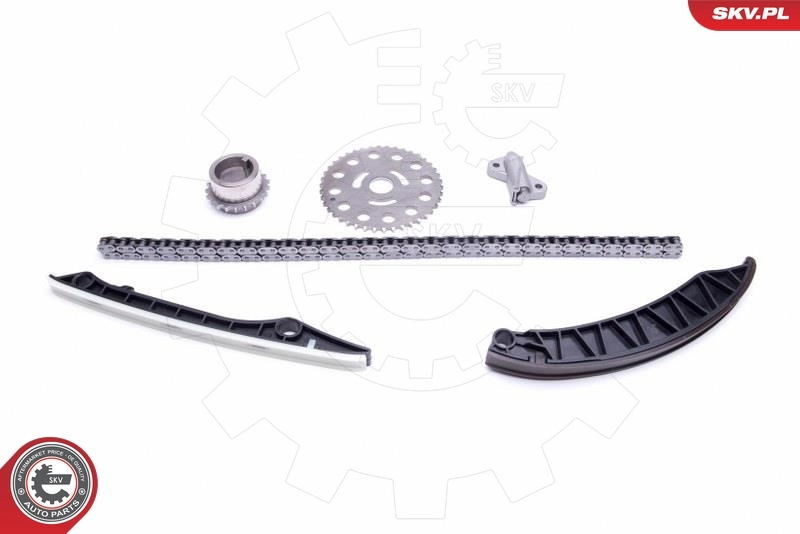 Timing Chain Kit 21SKV173