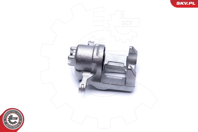 Brake Caliper 42SKV244