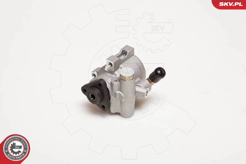 Hydraulic Pump, steering 10SKV055