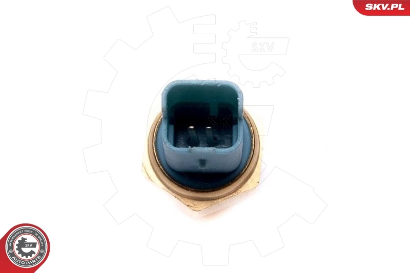 Switch, reverse light 38SKV824