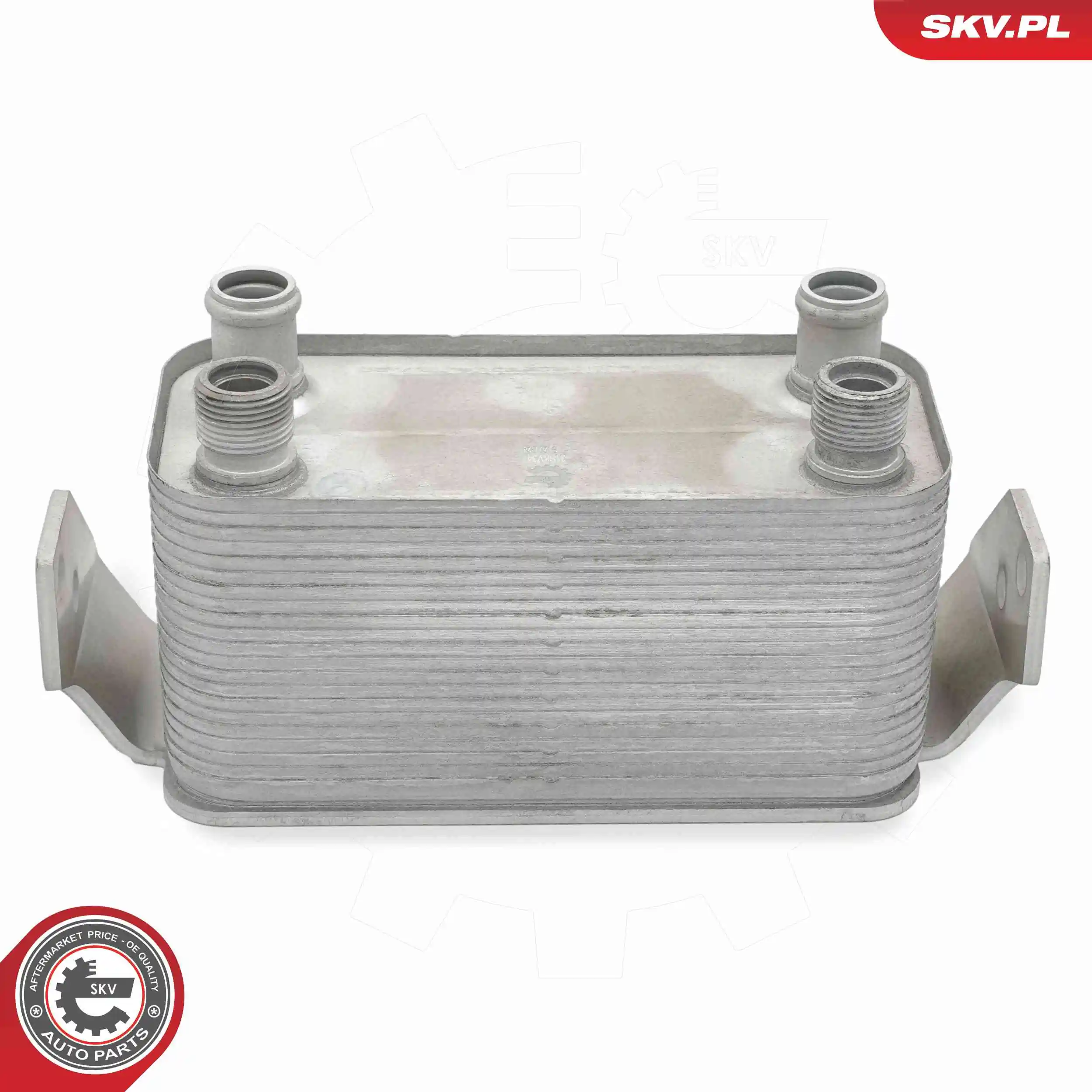 Oil Cooler, engine oil 31SKV347