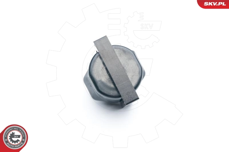 Ignition Coil 03SKV253