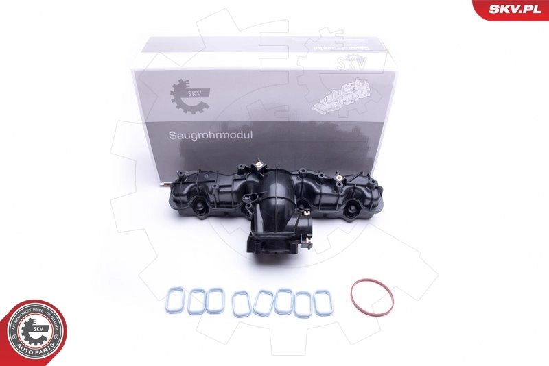 Intake Manifold Module 49SKV033